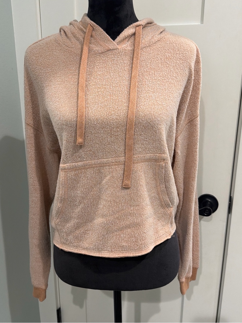 Z Supply Plush Hooded Cropped Pullover in Blush
